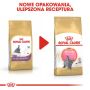 Royal Canin British Shorthair Kitten karma sucha dla kociąt, do 12 miesiąca, rasy brytyjski krótkowłosy 400g - 3