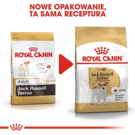 Royal Canin Jack Russell Terrier Adult karma sucha dla psów dorosłych rasy jack russell terrier 500g - 3