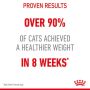 Royal Canin Light Weight Care w galaretce karma mokra dla kotów dorosłych, z tendencją do nadwagi saszetka 85g - 3