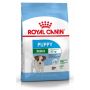 Royal Canin Mini Puppy karma sucha dla szczeniąt, od 2 do 10 miesiąca życia, ras małych 800g - 2