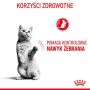 Royal Canin Appetite Control Care karma sucha dla kotów dorosłych, domagających się jedzenia 400g - 3