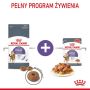 Royal Canin Appetite Control Care karma sucha dla kotów dorosłych, domagających się jedzenia 400g - 5