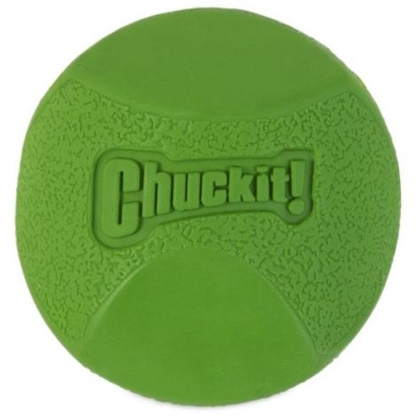 Chuckit! Erratic Ball Medium [201101] - 3