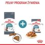 Royal Canin Hairball Care karma sucha dla kotów dorosłych, eliminacja kul włosowych 2kg - 5