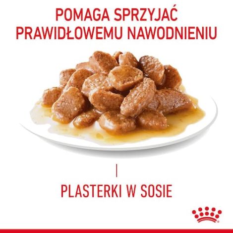 Royal Canin Urinary Care karma mokra dla kotów dorosłych, ochrona dolnych dróg moczowych saszetka 85g - 4