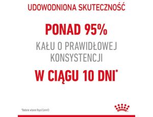 Royal Canin Digestive Care karma sucha dla kotów dorosłych, wspomagająca przebieg trawienia 4kg - 2