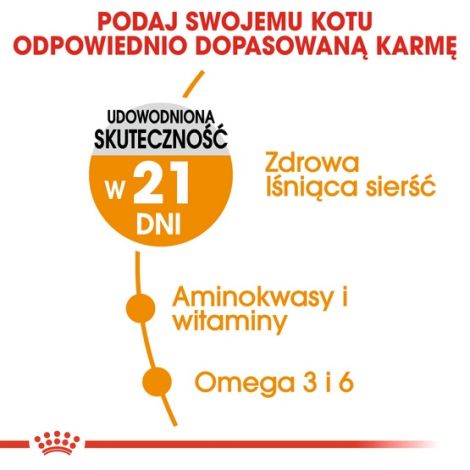 Royal Canin Hair&Skin Care karma sucha dla kotów dorosłych, lśniąca sierść i zdrowa skóra 400g - 3