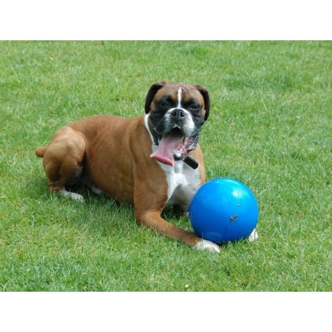 Boomer Ball S - 4" / 11cm niebieska - 4