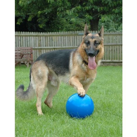 Boomer Ball L - 8" / 20cm niebieska - 5