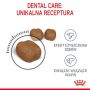 Royal Canin Dental Care karma sucha dla kotów dorosłych, redukująca odkładanie kamienia nazębnego 400g - 4