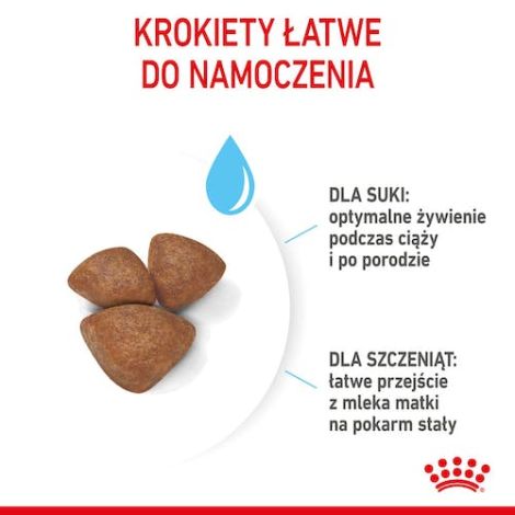 Royal Canin Mini Starter Mother&Babydog karma sucha dla szczeniąt do 2 miesiąca i suk karmiących ras małych 1kg - 4