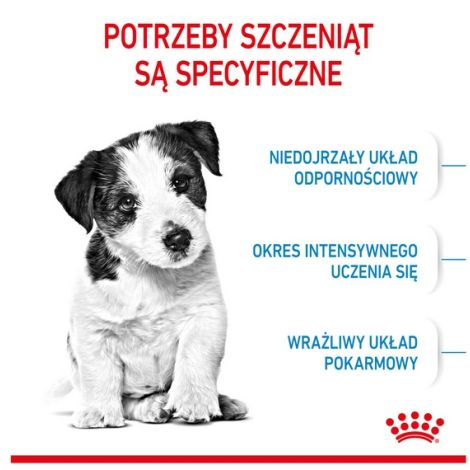 Royal Canin Mini Puppy karma sucha dla szczeniąt, od 2 do 10 miesiąca życia, ras małych 8kg - 2