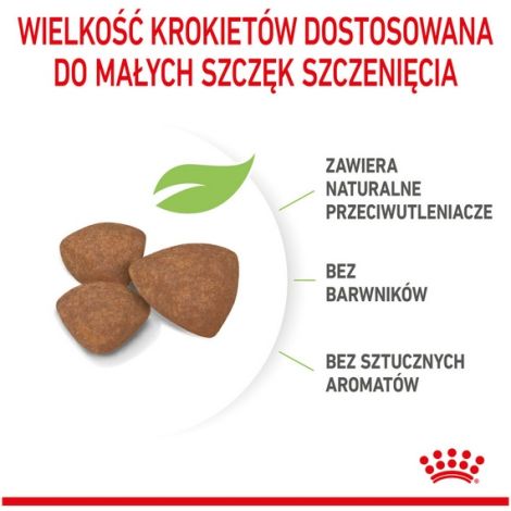 Royal Canin Mini Puppy karma sucha dla szczeniąt, od 2 do 10 miesiąca życia, ras małych 8kg - 4