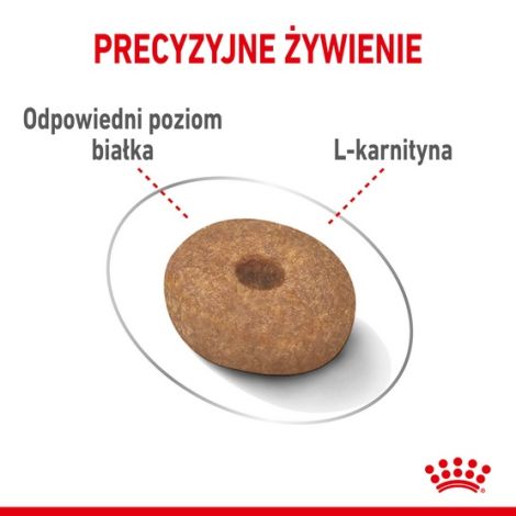 Royal Canin Mini Light Weight Care karma sucha dla psów dorosłych, ras małych z tendencją do nadwagi 8kg - 5