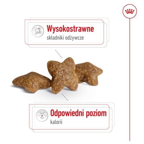 Royal Canin Mini Adult karma sucha dla psów dorosłych, ras małych 4kg - 3