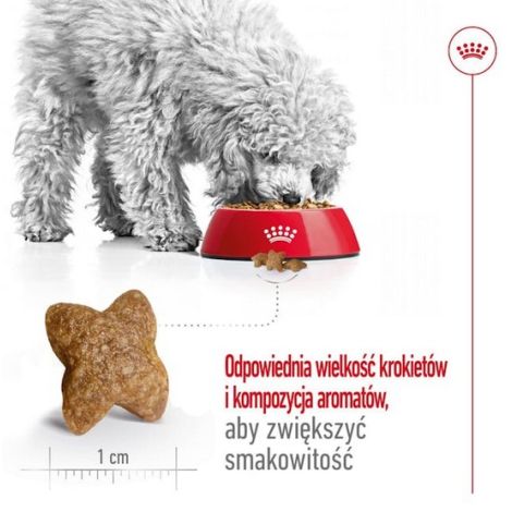 Royal Canin Mini Adult karma sucha dla psów dorosłych, ras małych 4kg - 4