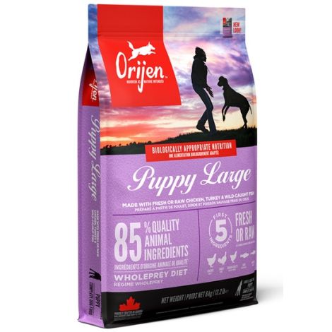 Orijen Puppy Large Breed 6kg - 2