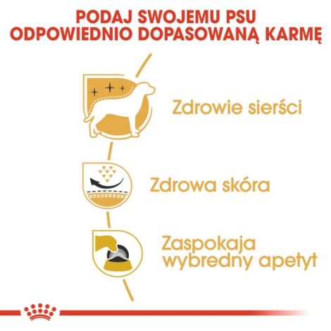 Royal Canin West Highland White Terrier Adult karma sucha dla psów dorosłych rasy west highland white terrier 0,5kg - 5