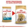 Royal Canin Shih Tzu Adult karma sucha dla psów dorosłych rasy shih tzu 1,5kg - 3