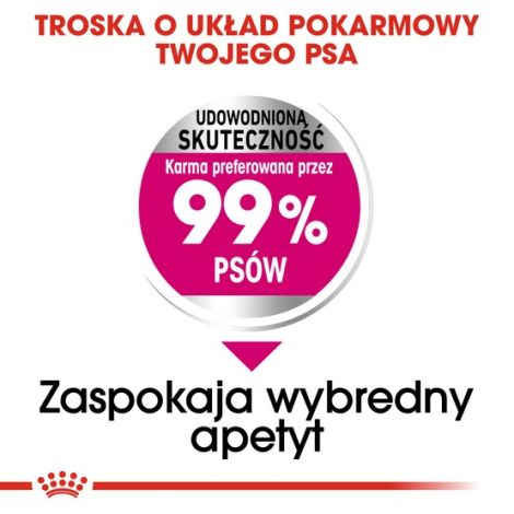 Royal Canin Mini Exigent karma sucha dla psów dorosłych, ras małych, wybrednych 1kg - 4