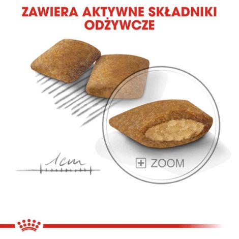 Royal Canin Mini Exigent karma sucha dla psów dorosłych, ras małych, wybrednych 1kg - 5