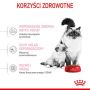 Royal Canin Mother&Babycat karma sucha dla kotek w okresie ciąży, laktacji i kociąt od 1 do 4 miesiąca 2kg - 3