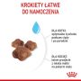 Royal Canin Mother&Babycat karma sucha dla kotek w okresie ciąży, laktacji i kociąt od 1 do 4 miesiąca 2kg - 4