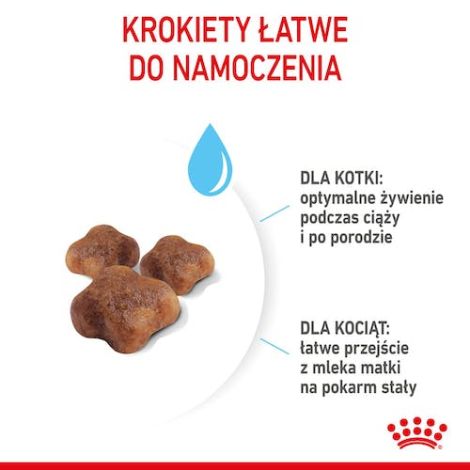 Royal Canin Mother&Babycat karma sucha dla kotek w okresie ciąży, laktacji i kociąt od 1 do 4 miesiąca 400g - 4