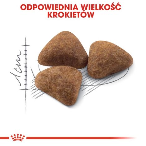 Royal Canin Indoor karma sucha dla kotów dorosłych, przebywających wyłącznie w domu 400g - 6