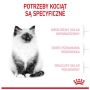 Royal Canin Kitten karma sucha dla kociąt od 4 do 12 miesiąca życia 4kg - 3