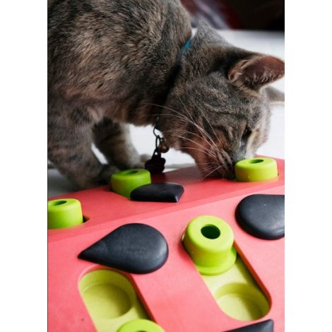 Nina Ottosson Cat Melon Madness Puzzle & Play - gra edukacyjna dla kotów - 7