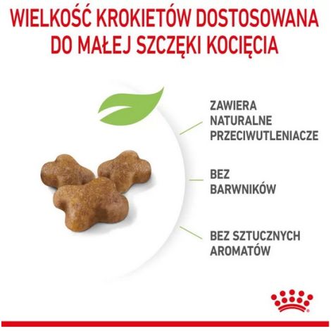 Royal Canin Kitten karma sucha dla kociąt od 4 do 12 miesiąca życia 400g - 5