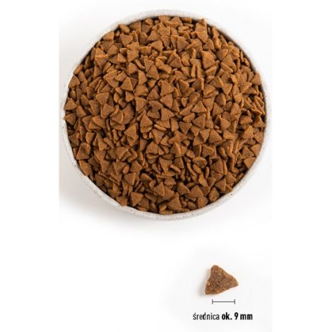 Acana Bountiful Catch Cat & Kitten 4,5kg - 2
