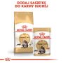 Royal Canin Maine Coon Adult karma sucha dla kotów dorosłych rasy maine coon 400g - 5