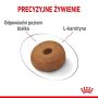 Royal Canin Maxi Light Weight Care karma sucha dla psów dorosłych, ras dużych z tendencją do nadwagi 3kg - 4