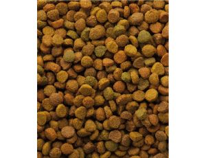 Versele-Laga Oke Cat Classic Variety 10kg - 2