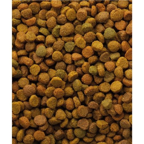 Versele-Laga Oke Cat Classic Variety 10kg - 2