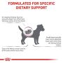 Royal Canin Veterinary Diet Canine Renal Small Dog 500g - 2