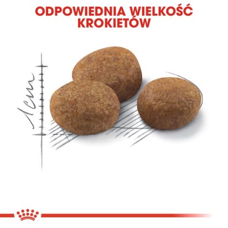 Royal Canin Sterilised 7+ karma sucha dla kotów dorosłych, od 7 do 12 roku życia, sterylizowanych 400g - 6