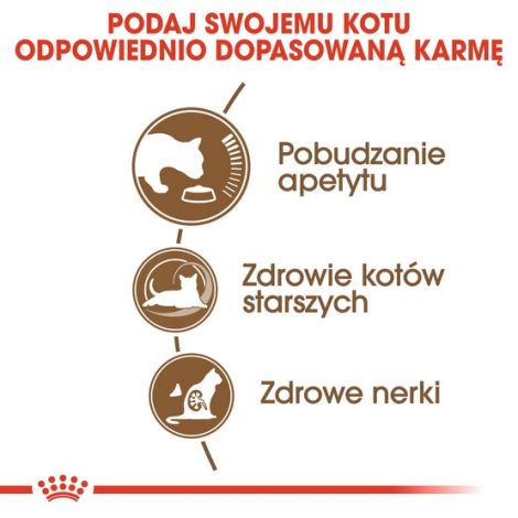 Royal Canin Ageing +12 karma sucha dla kotów dojrzałych 2kg - 5