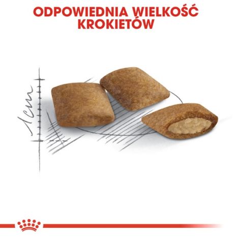 Royal Canin Ageing +12 karma sucha dla kotów dojrzałych 4kg - 6