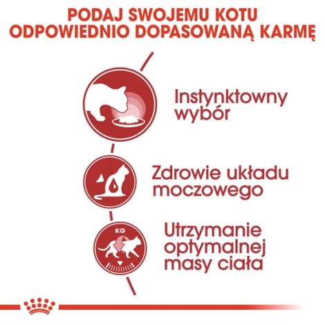 Royal Canin Instinctive w galaretce karma mokra dla kotów dorosłych, wybrednych saszetka 85g - 4