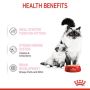 Royal Canin Mother & Babycat Mousse karma mokra - mus dla kociąt i kotek karmiących puszka 195g - 3