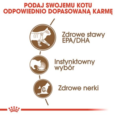 Royal Canin Ageing +12 karma mokra w galaretce dla kotów dojrzałych saszetka 85g - 5