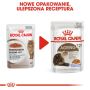 Royal Canin Ageing +12 karma mokra w galaretce dla kotów dojrzałych saszetka 85g - 3