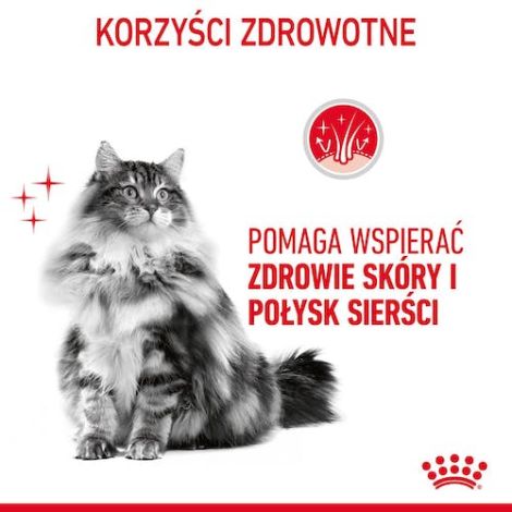 Royal Canin Hair & Skin Care karma mokra w galaretce dla kotów dorosłych, lśniąca sierść i zdrowa skóra saszetka 85g - 3