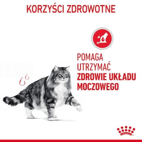 Royal Canin Urinary Care karma sucha dla kotów dorosłych, ochrona dolnych dróg moczowych 400g - 3