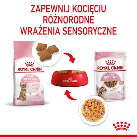 Royal Canin Kitten Sterilised karma mokra w galaretce dla kociąt od 6 do 12 miesiąca życia, sterylizowanych saszetka 85g - 4