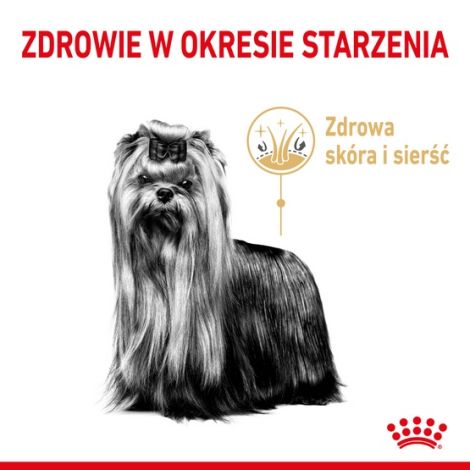 Royal Canin Yorkshire Terrier Adult 8+ karma sucha dla psów starszych rasy yorkshire terrier 500g - 4