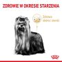 Royal Canin Yorkshire Terrier Adult 8+ karma sucha dla psów starszych rasy yorkshire terrier 500g - 4